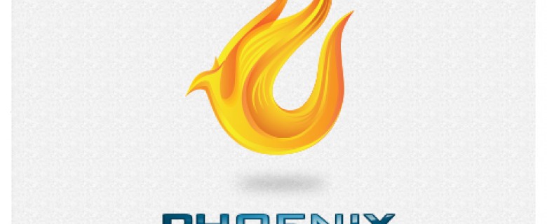 Phoenix Thermography